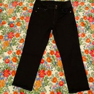 American Eagle, Artist Crop, size 8 short